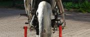 Motucan 01 R125R